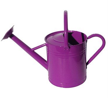 Gardener Select Watering Can - Purple For Sale