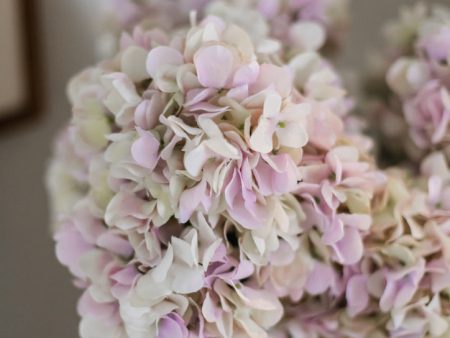 LAVENDER & IVORY HYDRANGEA (3 STEMS) Online Sale