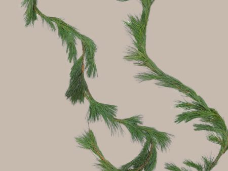 15 Ft. White Pine Garland Online now