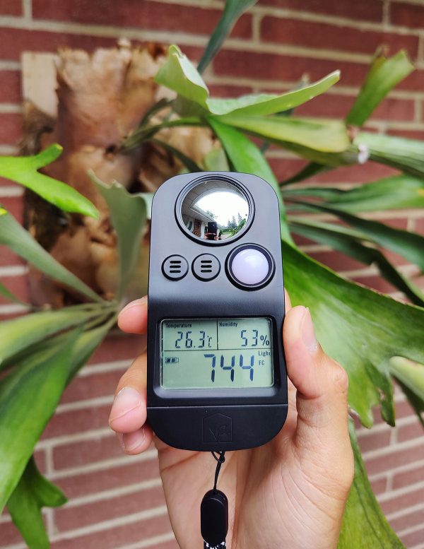 Light, Temperature, Humidity Meter on Sale