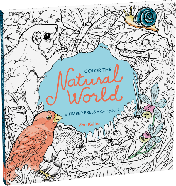 Color the Natural World Coloring Book Online Hot Sale