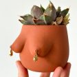 Drippy Evangeline Planter Supply