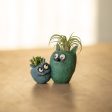 Wingman the Monsters Bloomies Double Blobhouse Planter, Blue & Teal Online