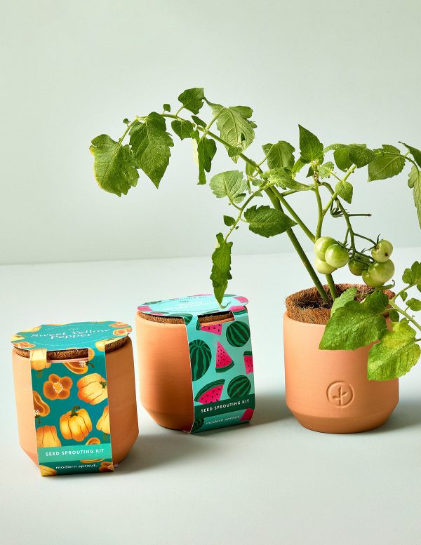 Tiny Terracotta Fruit & Veggie Trio Discount