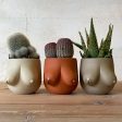 Sasha Planter Online now