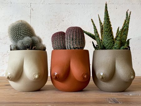 Sasha Planter Online now