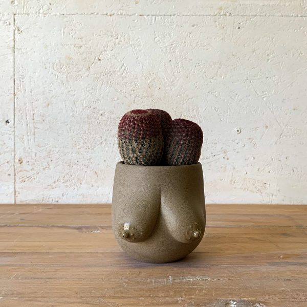 Sasha Planter Online now