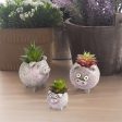 The Porcini Pig Family Blobhouse Planters, Set of 3 For Discount