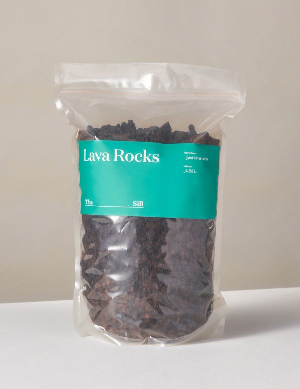 Organic Lava Rocks Online now