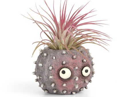 Uni the Urchin Blobhouse Planter For Sale