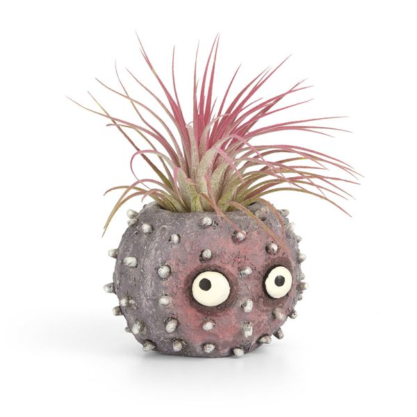 Uni the Urchin Blobhouse Planter For Sale