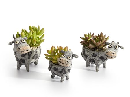 The Holstein Cow Family Blobhouse Planters, Set of 3 Cheap