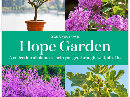 ‘Hope Garden’ Outdoor Bundle For Cheap