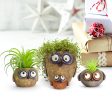 Mama & Baby Owlets Planters, Set of 3 Fashion