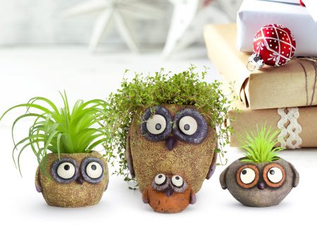 Mama & Baby Owlets Planters, Set of 3 Fashion