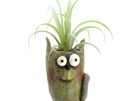 Walley the Cat Bloomies Blobhouse Planter Online Sale