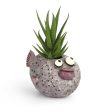 Twyla Karp the Fish Blobhouse Planter Online now