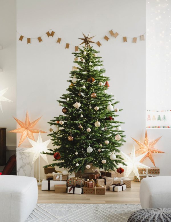 6 Ft. Fraser Fir Tree (Live Cut) Discount