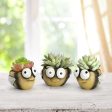 Honeybee Blobhouse Planters, Set of 3 Supply