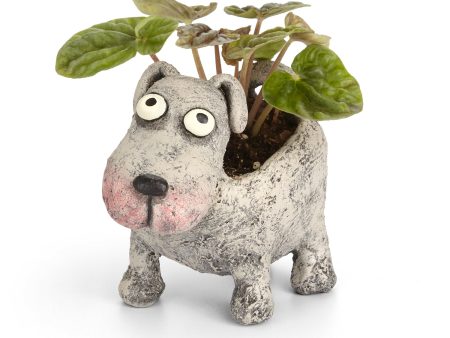 Petunia the Dog Blobhouse Planter Fashion