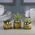 Frog Trio Blobhouse Planters, Set of 3 Online