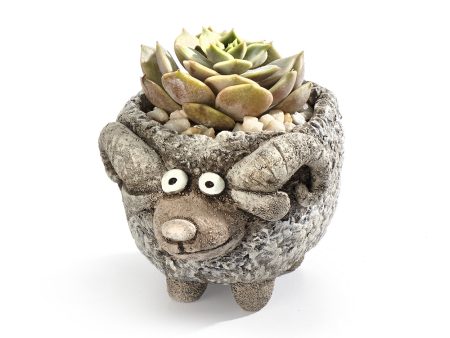 Wooliam the Ram Blobhouse Planter For Cheap