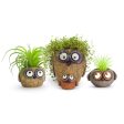 Mama & Baby Owlets Planters, Set of 3 Fashion