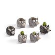 Mini Baby Lamb Blobhouse Planters, Set of 6 Discount