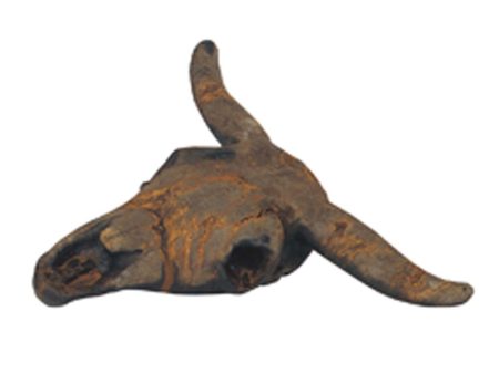 Cow Skull Sculpture Online now