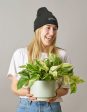 Plants Beanie For Cheap