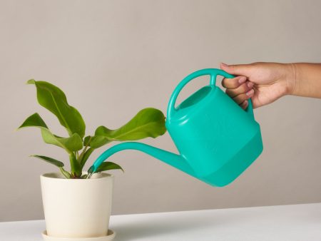 Watering Can Online Sale