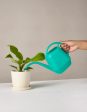 Watering Can Online Sale