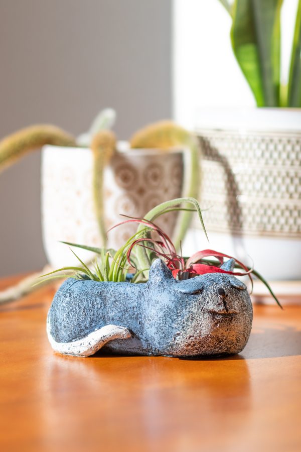 Blue Sleeping Cat Blobhouse Planter Online