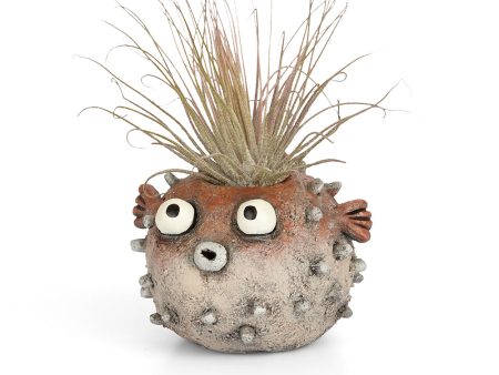 Sushi the Blowfish Blobhouse Planter Online Sale