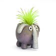 Dinky the Baby Elephant Blobhouse Planter on Sale