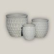 6051H25 - White Dragon Scale Pot Online Hot Sale