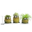 Frog Trio Blobhouse Planters, Set of 3 Online