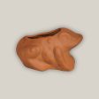 Terracotta Frog Cheap