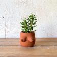 Evangeline Planter Hot on Sale