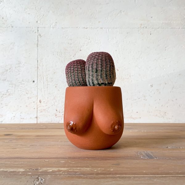 Sasha Planter Online now