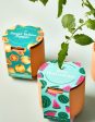 Tiny Terracotta Fruit & Veggie Trio Discount