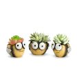 Honeybee Blobhouse Planters, Set of 3 Supply