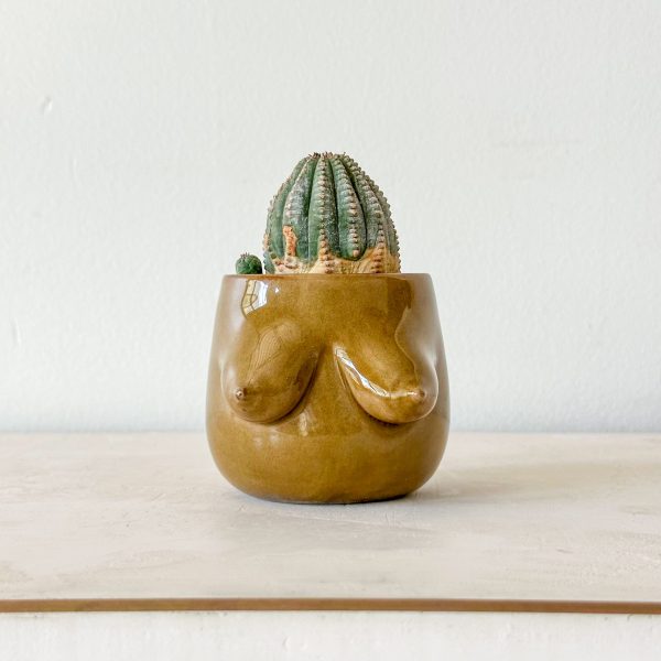 Evangeline Planter Hot on Sale